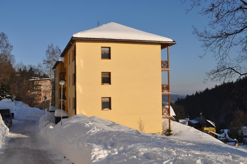 Apartman Kamila Янске Лазне Стая снимка